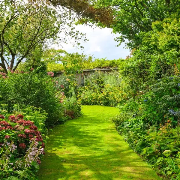 Jardin de Valérianes - Buchy - 2020