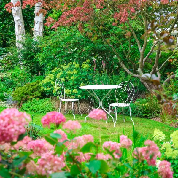 Jardin Les Hêtres - Offranville