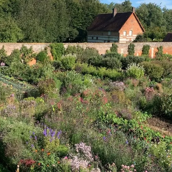 Jardin potager