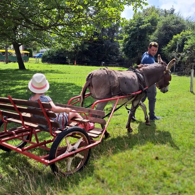 la ferme au fil des saisons (2)
