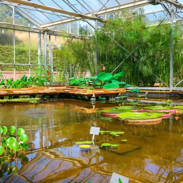 Serres des Jardins Suspendus