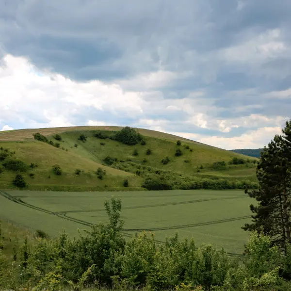 les_monts-sma-SLECOQ (8) 800X600