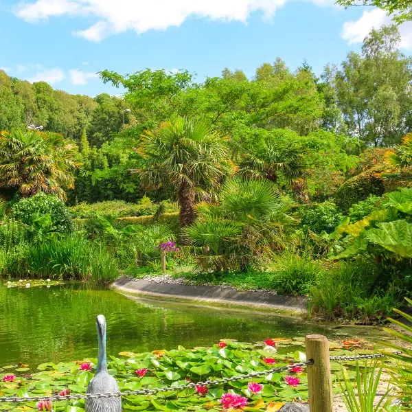 LES NOUVEAUX JARDIN DE LOUANNE - FECAMP - 2020