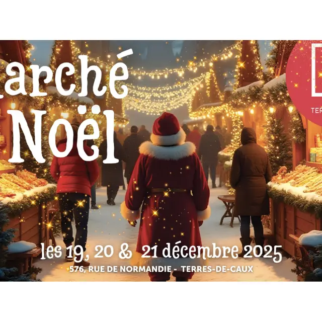 marche de noel fauville 2025 (1)