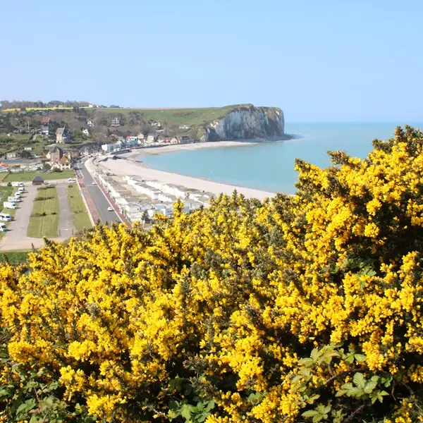 mémore d'albatre-coteau des falaises©ccca (3)
