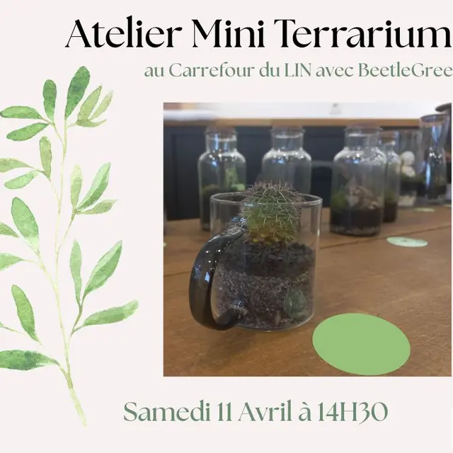 Atelier Herbier Polaroid - Mini Terrariums