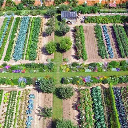 miromesnil_garden_potager_original