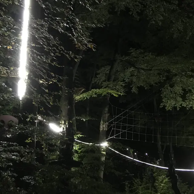 nocturne arbaventure