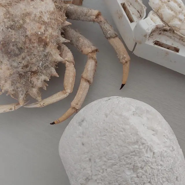 objets insolites