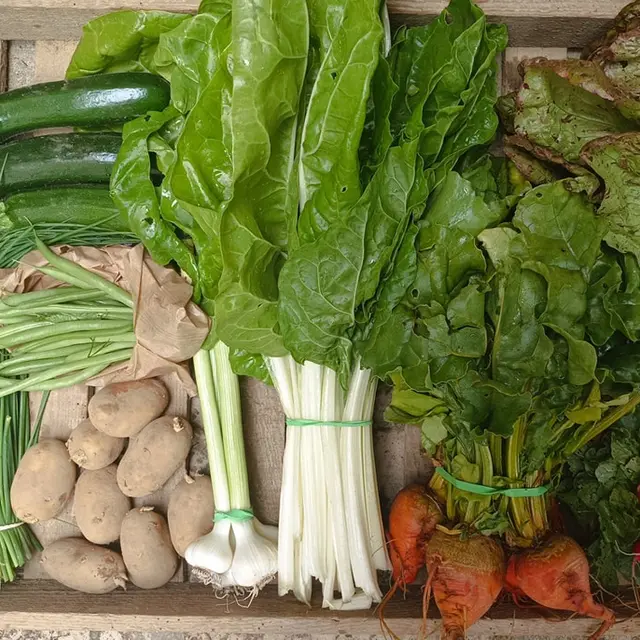 Panier de légumes