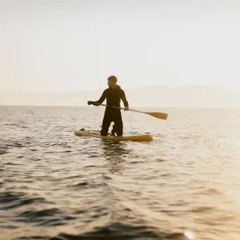 Paddle