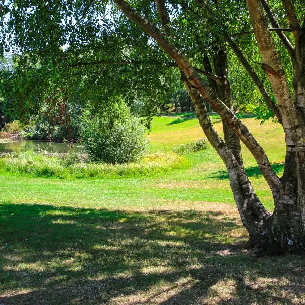 Parc de Rouelles - Le Havre - 2020