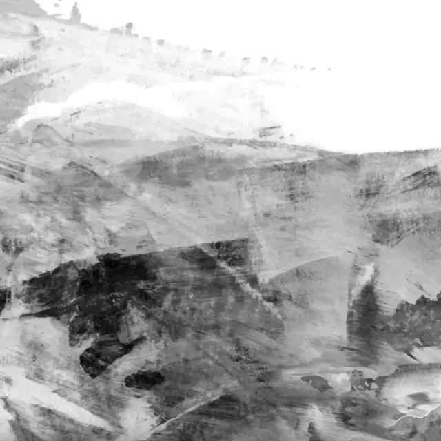 Peinture noir et blanc