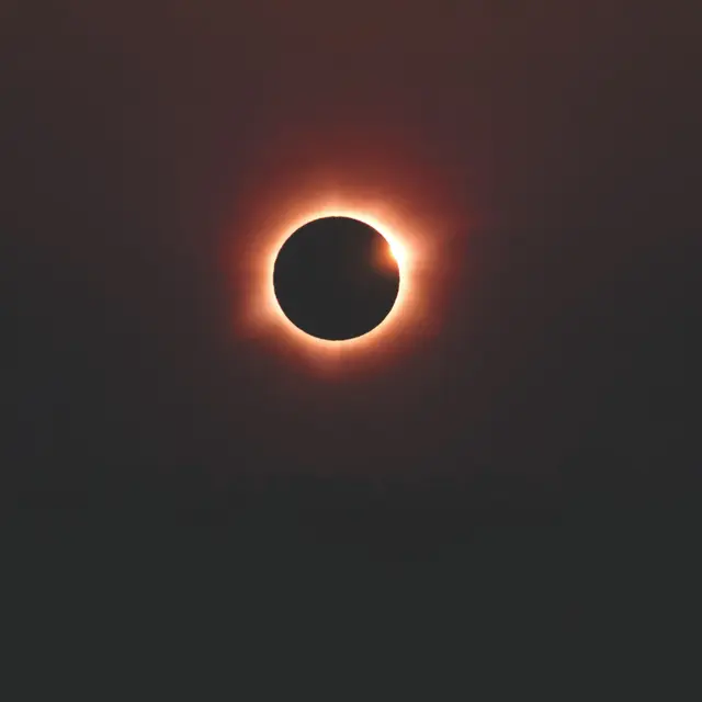 pexels-gleive-37045046