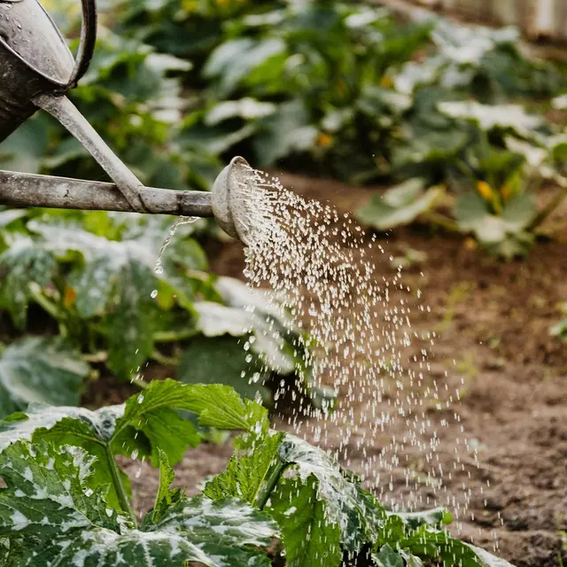 Ateliers aux jardins