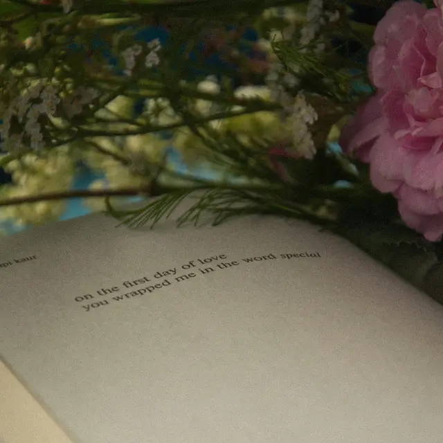 pexels-lia-kapitonova-510305471-17215663