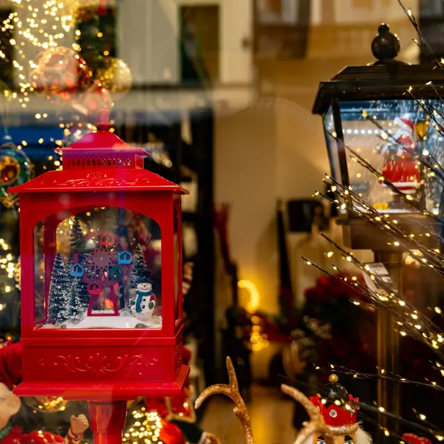 pexels-vladimirsrajber-29789534