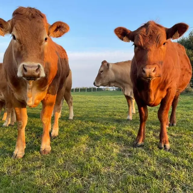 portes-ouvertes-moulin-de-rebets-2025