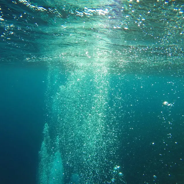 plongee-mostafa-ashraf-mostafa-2n-NlDEAhtk-unsplash