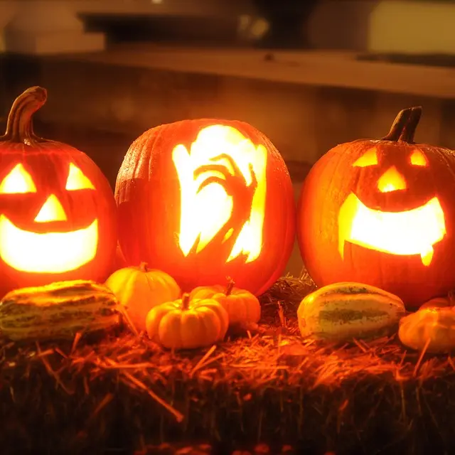 citrouilles