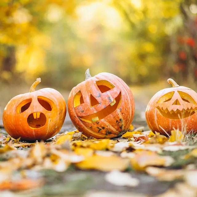 pumpkin-6720424_1280