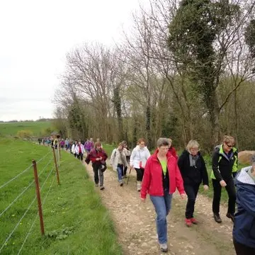 Randonnée AFJC - Cany Barville (4)