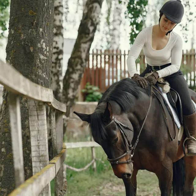 randonnee-aquestre-pexels-gustavo-fring-4894988