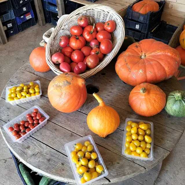 Récoltes de fin d'été