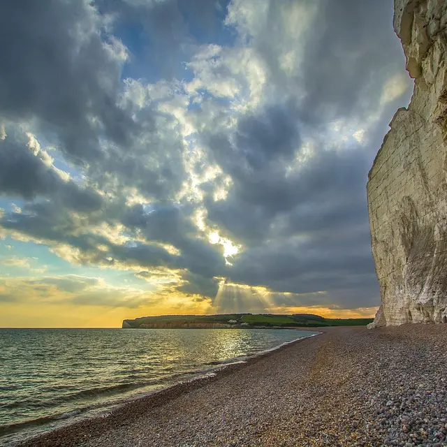 Parcours littoral à Pourville [3èmes Rencontres de la Biodiversité]