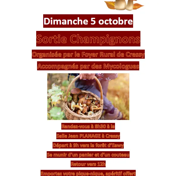 Sortie champingon