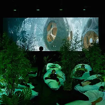 Sleep for Earth