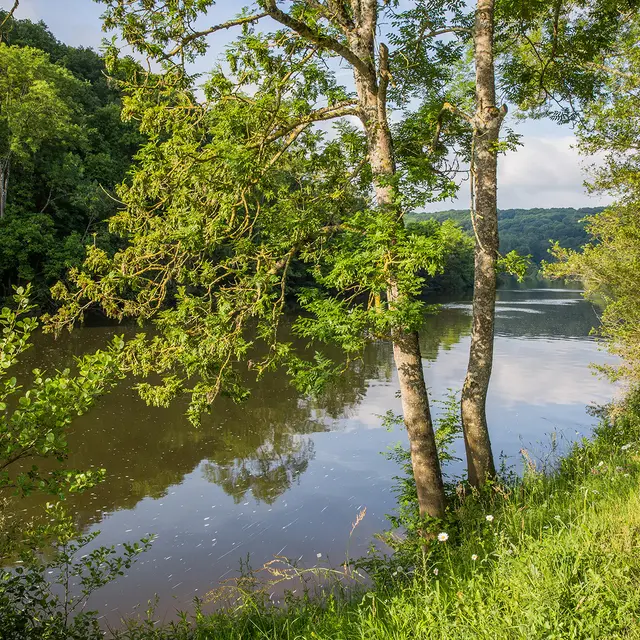 44-Philippe_CAHAREL-RivMayenne