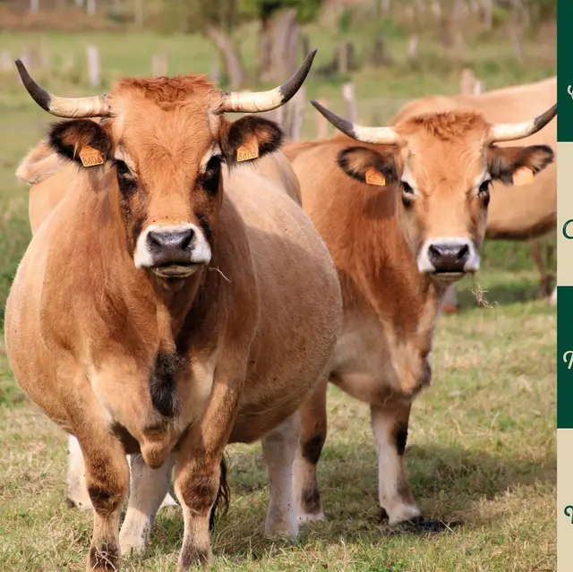 471465428_122192198906243949_2548585962711950182_n