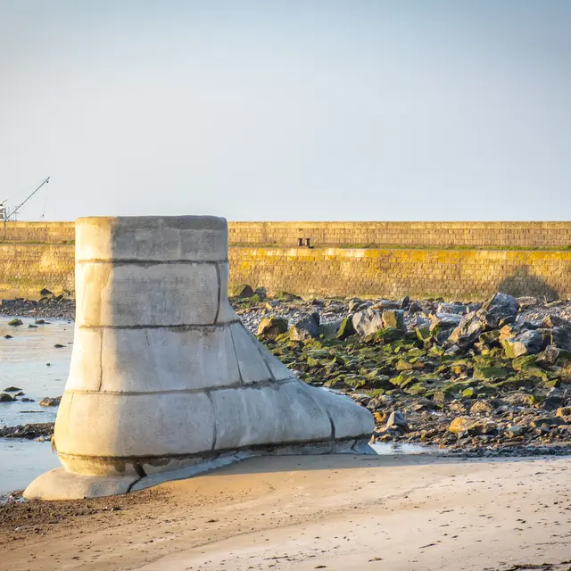 Le Pied, Le Pull-over et le Système digestif - Estuaire Nantes < > Saint-Nazaire