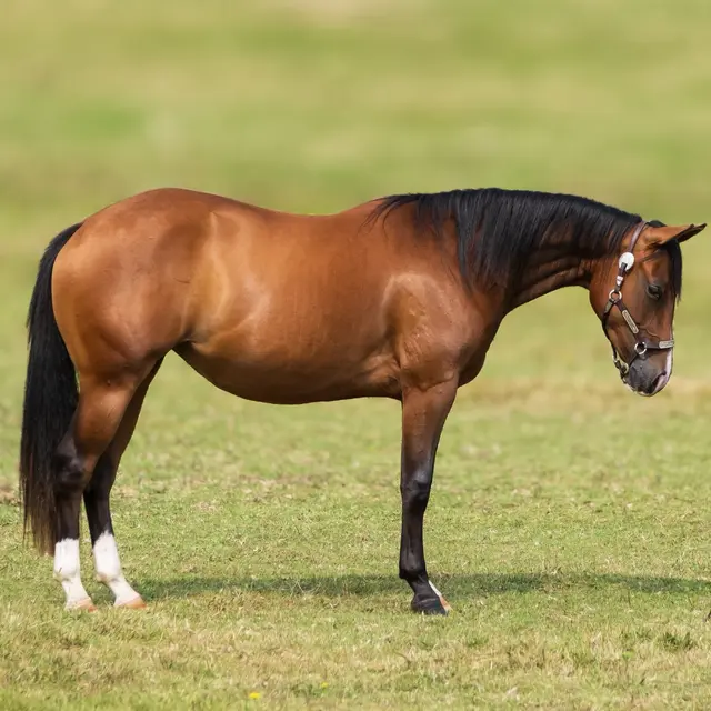 580780762_1599834844324548_8110119590931041965_n