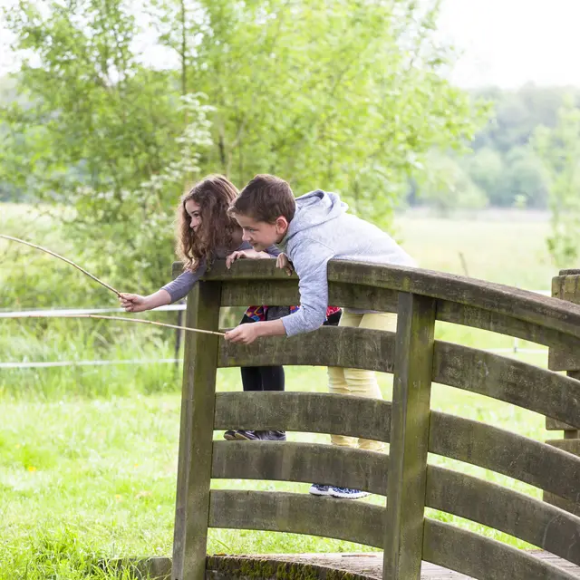Marais de Cré sur Loir