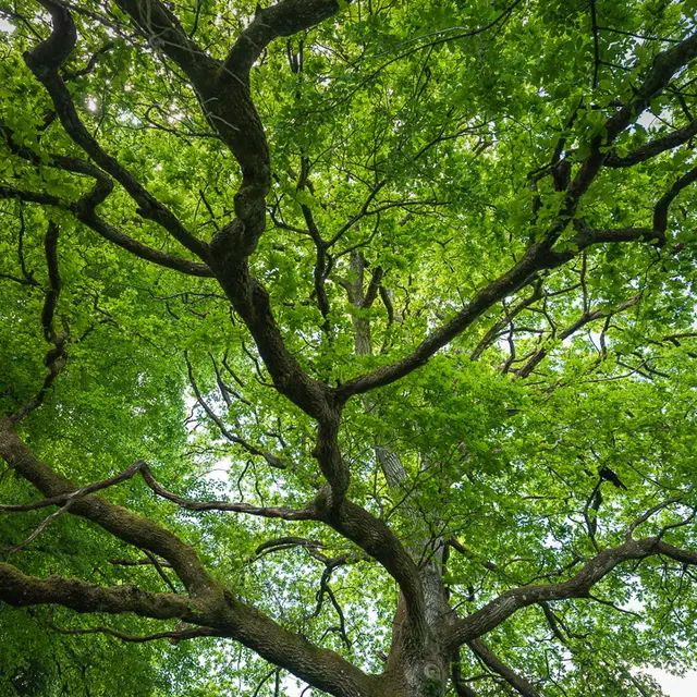 randonnée écologique La marche du Temps