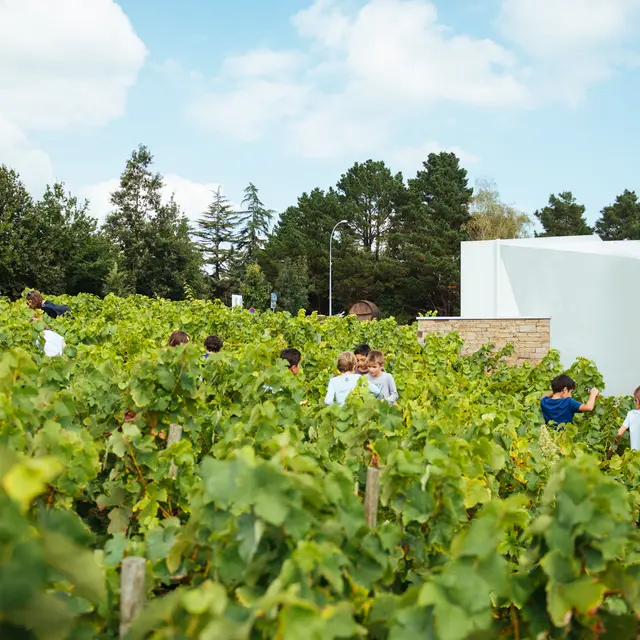 0103020110__c_David_Gallard_retouchee