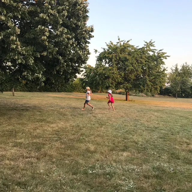 Gîte de l'Angellerie_la Bruère sur Loir_Grand jardin arboré indépendant
