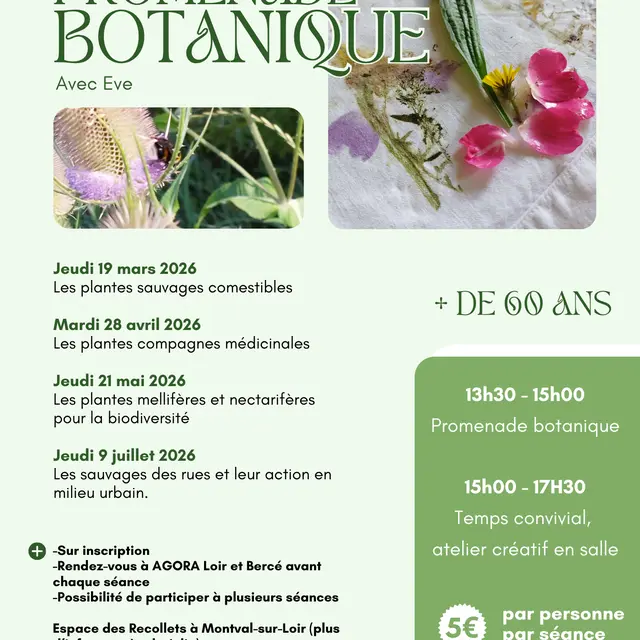 Atelier plantes et jardin - 2