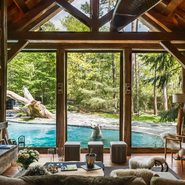 Arctic Lodge - Univers ours polaires