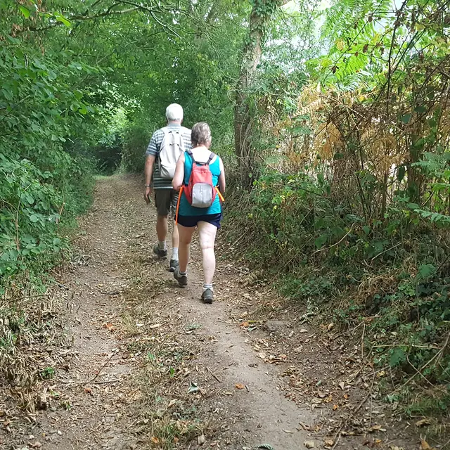 sentier du Lys - la Chapelle aux Lys - 85