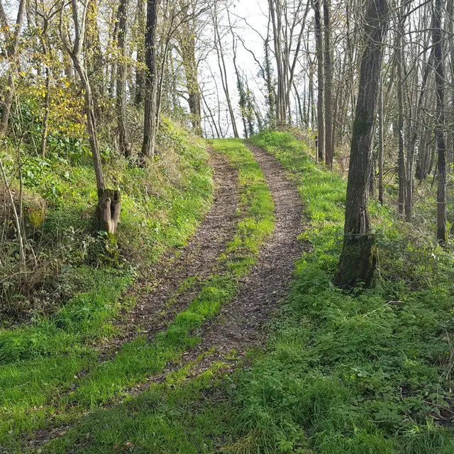 sentier du Barabin - St Sulpice en Pareds - 85