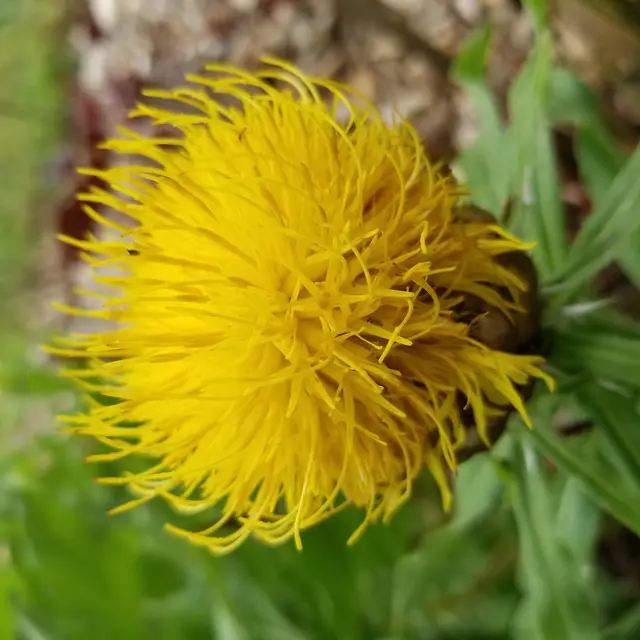 20240531_110801 - Copie (2)