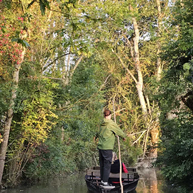 Le marais s'éveille - Saint Sigismond