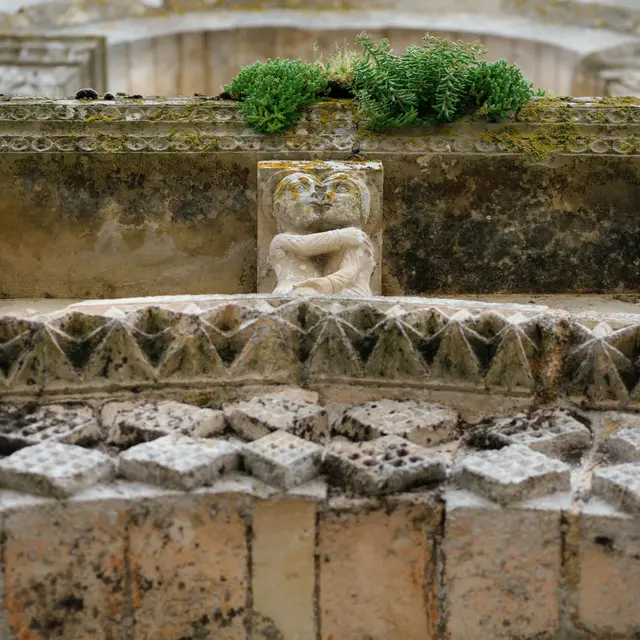 20250326_Maillezais_Sentier_-_HD-12