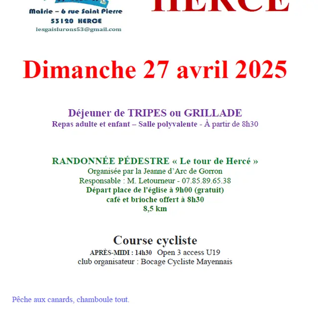 202504 Hercé affiche fete communale