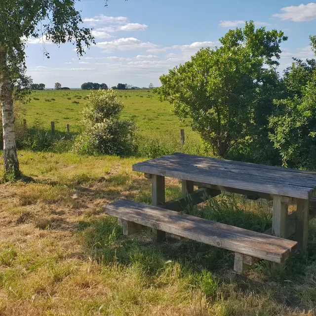 Aire de pique-nique à Saint-Malo de Guersac