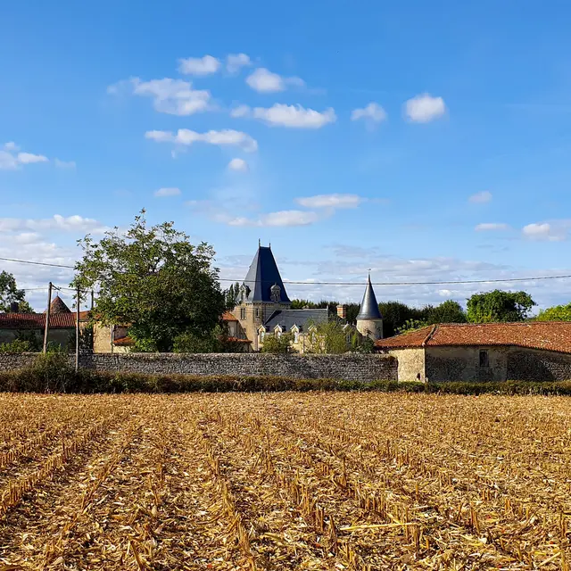 20200928_162046 - Copie