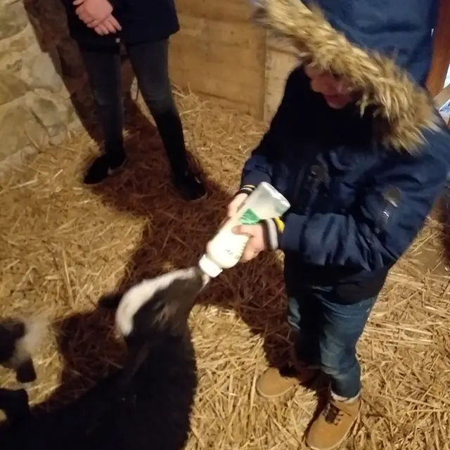 Ferme pédagogique le Moulin du Rouveau_Oizé